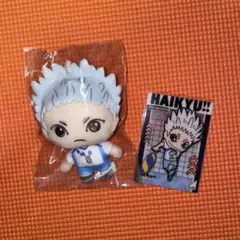 ハイキュー ぬいぐるみ 缶バッジ 鴎台高校 星海光来 - メルカリ