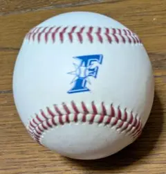 日本ハム ファイターズ　2球　練習球　野球ボール　公式球　北海道　プロ　エスコン オフィシャルストア限定！公式試合で使用したNPB統一試合球を