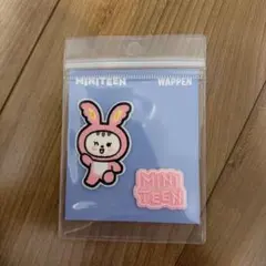 SEVENTEEN セブチ MINITEEN ワッペン トラム ジョンハン