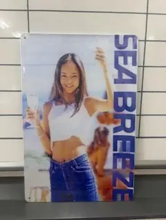 非売品】安室奈美恵 シーブリーズ販促パネル - メルカリ