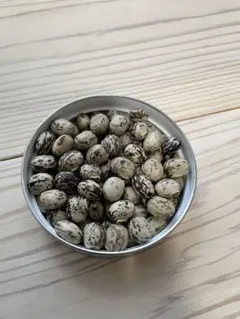 2026年(令和8年1月収穫)、愛媛県産のムクナ豆(八升豆)500グラムです。