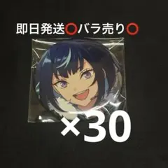 あんスタ エス コレクション缶バッジ 2025 Mar. Idol 30個