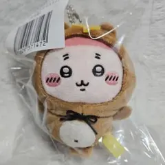 たぬきだもんくじ c賞 古本屋