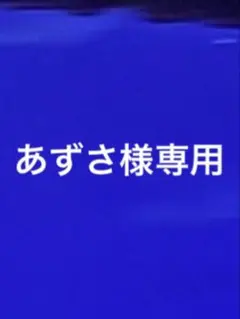 専用です。