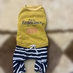 Item thumbnail for item 8315ad40-c2de-4f7b-8d2f-c36b15871556