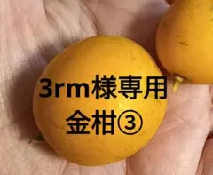 3rm様専用金柑仮予約③