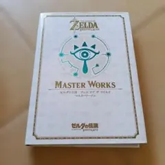 マッキーさま専用 ゼルダの伝説 マスターワークス 2冊 - メルカリ