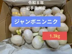 収穫したて　岩手県産ジャンボニンニクのサムネイル