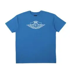 ◇【激レア】00s ジョーダン 黒タグ 反転ウィングロゴ Tシャツ L 青 