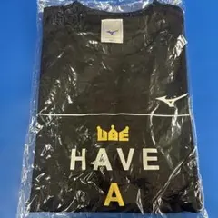 Item thumbnail for item a17de745-6976-4c96-b10c-b9bf5e2b82db