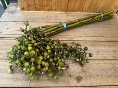 ❤︎ダリアン❤︎様 リクエスト 2点 まとめ商品