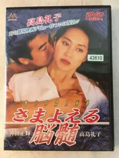 さまよえる脳髄