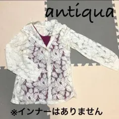 antiqua アンティカ　レディース　トップス　シャツ　ブラウス　シースルーのサムネイル