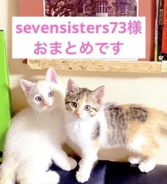 sevensisters73様 リクエスト 2点 まとめ商品