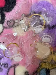 【うちの子けだまだま】ポメラニアン、柴犬