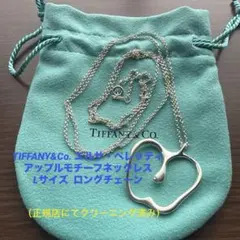 Tiffany ティファニー ホースシュー 馬蹄 ペンダント キーリング 925