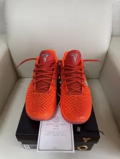 Nike Kobe 6 Protro Orange