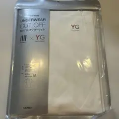 GUNZE VネックTシャツ