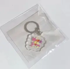 &TEAM TAKI 가챠 アクリルチャーム 匿名配送