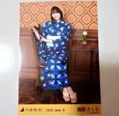 乃木坂46 遠藤さくら 生写真 2026.June-II 乃木坂46 遠藤さくら 生写真 2026.June-II 浴衣座りヒキ - メルカリ