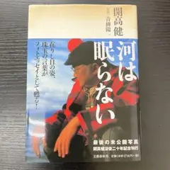 河は眠らない　開高健　青柳陽一　文藝春秋
