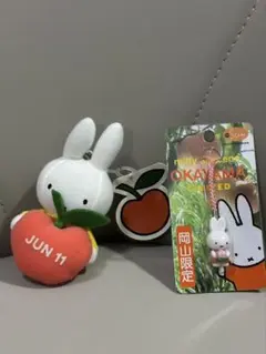 レア　ミッフィー マスコット 2点セット