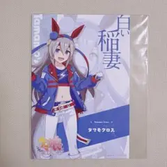 【匿名配送】　ウマ娘　タマモクロス　アトレ