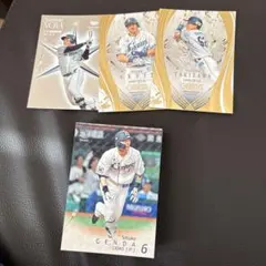 【5/24まで販売】埼玉西武ライオンズ　カードセット44枚