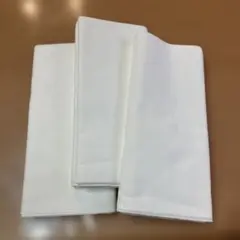 Item thumbnail for item fd2d065a-ac8d-4194-a341-30b2beb0d7ef