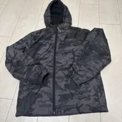 Item thumbnail for item 0f07cec9-da60-4970-a176-f322ab6e45ed