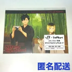 本日発送⭐︎ハイキュー 特典 ビジュアルカード 音駒高校