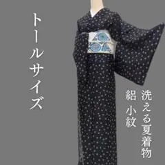 2025年最新】付け下げ 絽の人気アイテム - メルカリ