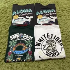 Item thumbnail for item 4b8a8f53-9ca1-4dba-90b9-7abe05e37a6c