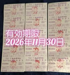 愛知県岡崎市 一畑山薬師寺 ご霊泉券 15枚セットのサムネイル