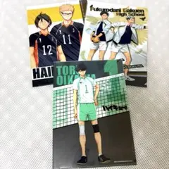 ハイキュー 烏野 ファイル セット まとめ売り