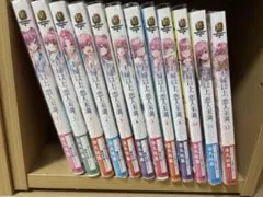 夫婦以上、恋人未満 1-12巻セット