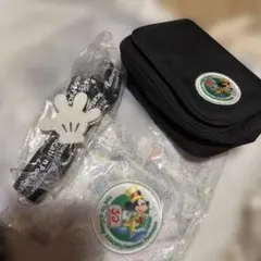 ディズニー バケーションパッケージ 30周年 デジカメケース ポーチ 非売品