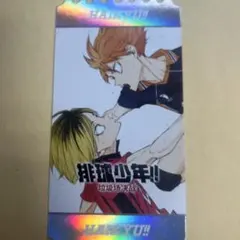 ハイキュー　ゴミ捨て場の決戦　中国　チケット　日向翔陽　孤爪研磨