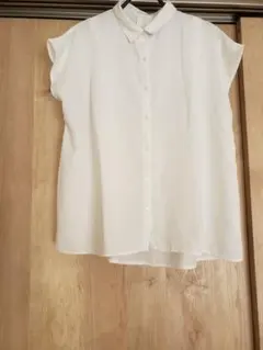 Item thumbnail for item c17b04c4-2bbc-49a3-a217-e520b94b3c8d