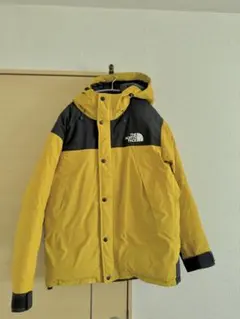 THE NORTH FACE GORE-TEX マウンテンダウンジャケット