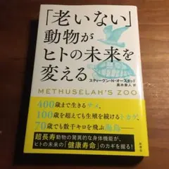 Item thumbnail for item 7035e482-3eb3-4c66-b2eb-90ff6d75c7ae