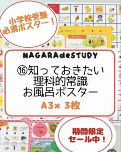 【100冊セット】こぐま会 ひとりでとっくん （バラ売り不可） ひとりでとっくん 常識 | 教材一覧 | こぐまオリジナル知育教材