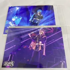 騎士A てるとくん まひとくん ブロマイド