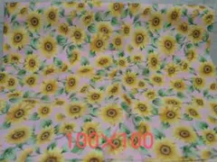 Item thumbnail for item 36c9d62c-2938-4dd6-9cdd-f54c1fe085bd