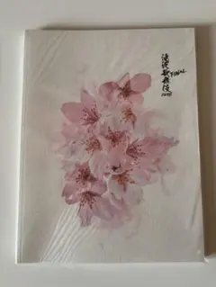 滝沢歌舞伎ZERO FINAL パンフレット