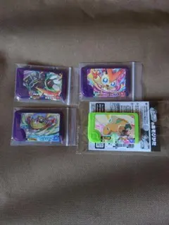 ポケモンフレンダ　ジガルデ　ビクティニ　ルチャブル　スペシャル　カイリュー