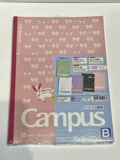 ポケモンCampus B5ノート 5冊セット