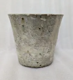山中勇人 作家鉢 サイン入り 植木鉢 陶器鉢 塊根植物 - メルカリ
