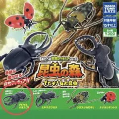 Item thumbnail for item 59fa8f77-1d52-4204-9f8f-a16a2880dd55