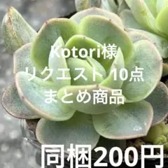 Kotori様 リクエスト 10点 まとめ商品